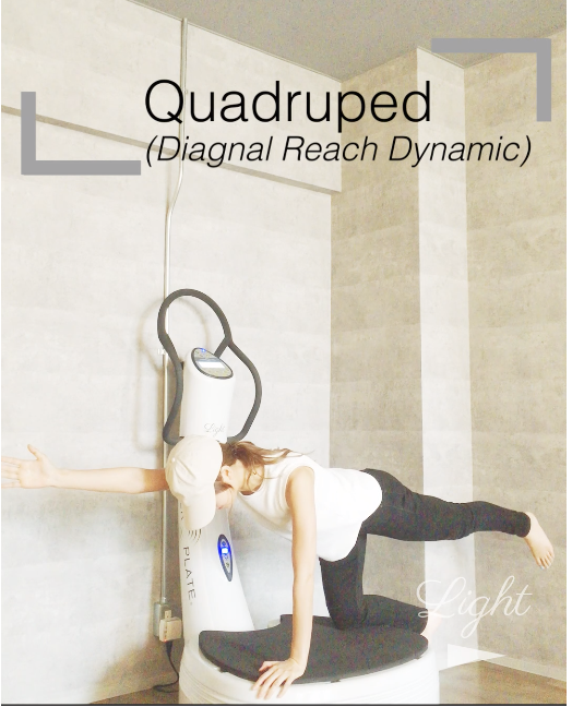 You are currently viewing パワープレートの使い方 Quadruped #1